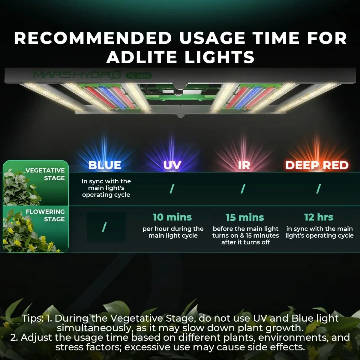 Botanik Led