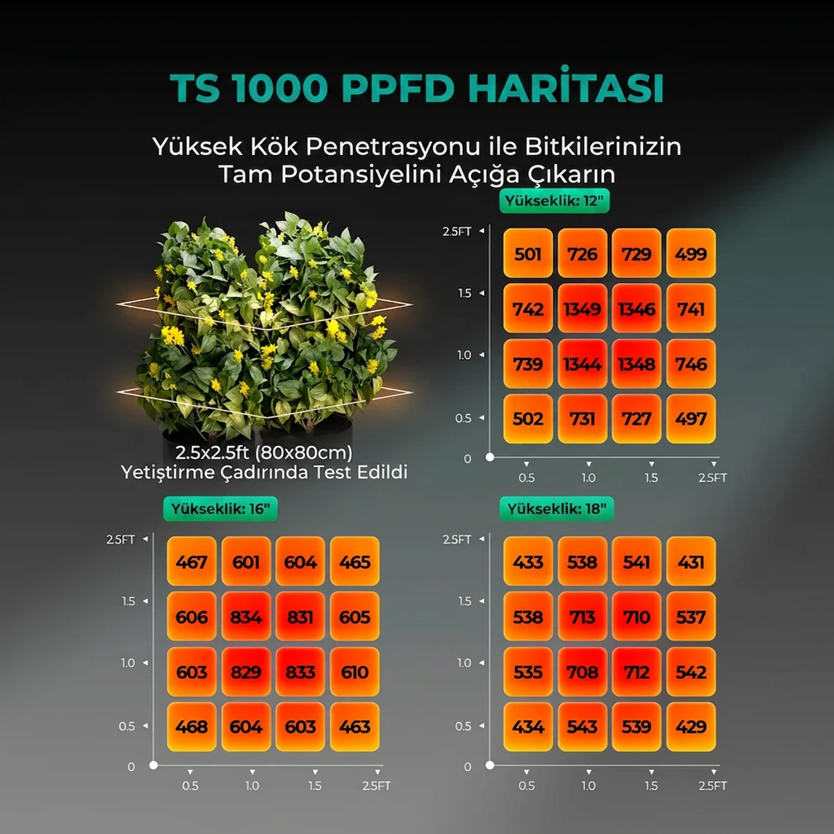 TS1000 Bitki Yetiştirme LED Lambası