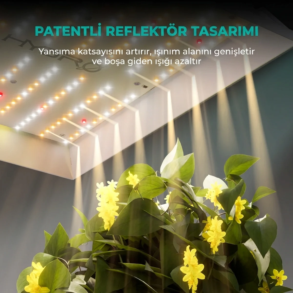 TS1000 Bitki Yetiştirme LED Lambası