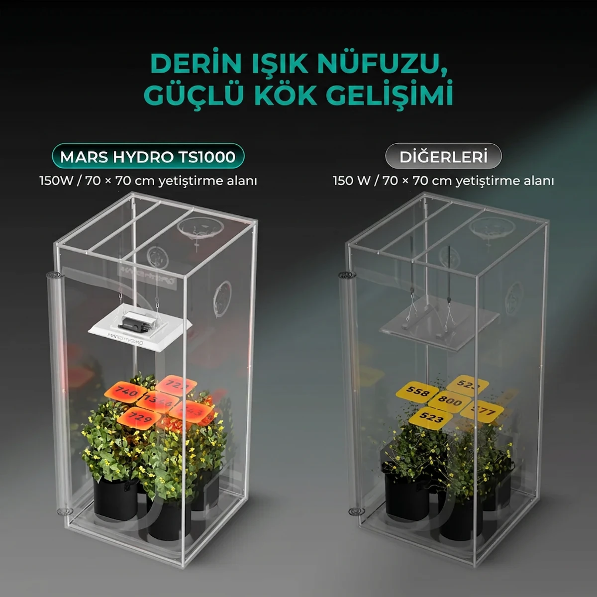 TS1000 Bitki Yetiştirme LED Lambası