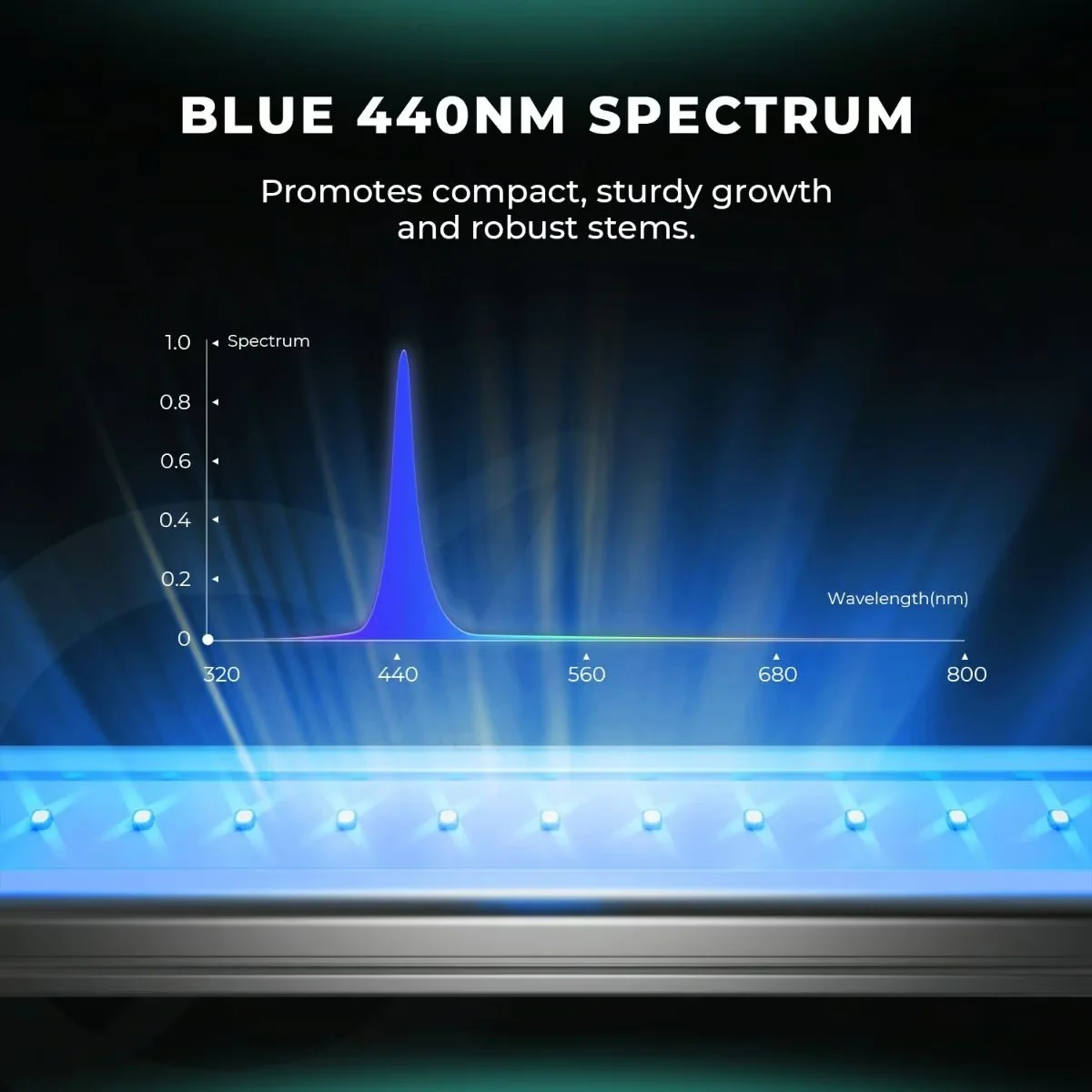 Mars Hydro ADlite RB55 (Deep Red55 + Blue55)