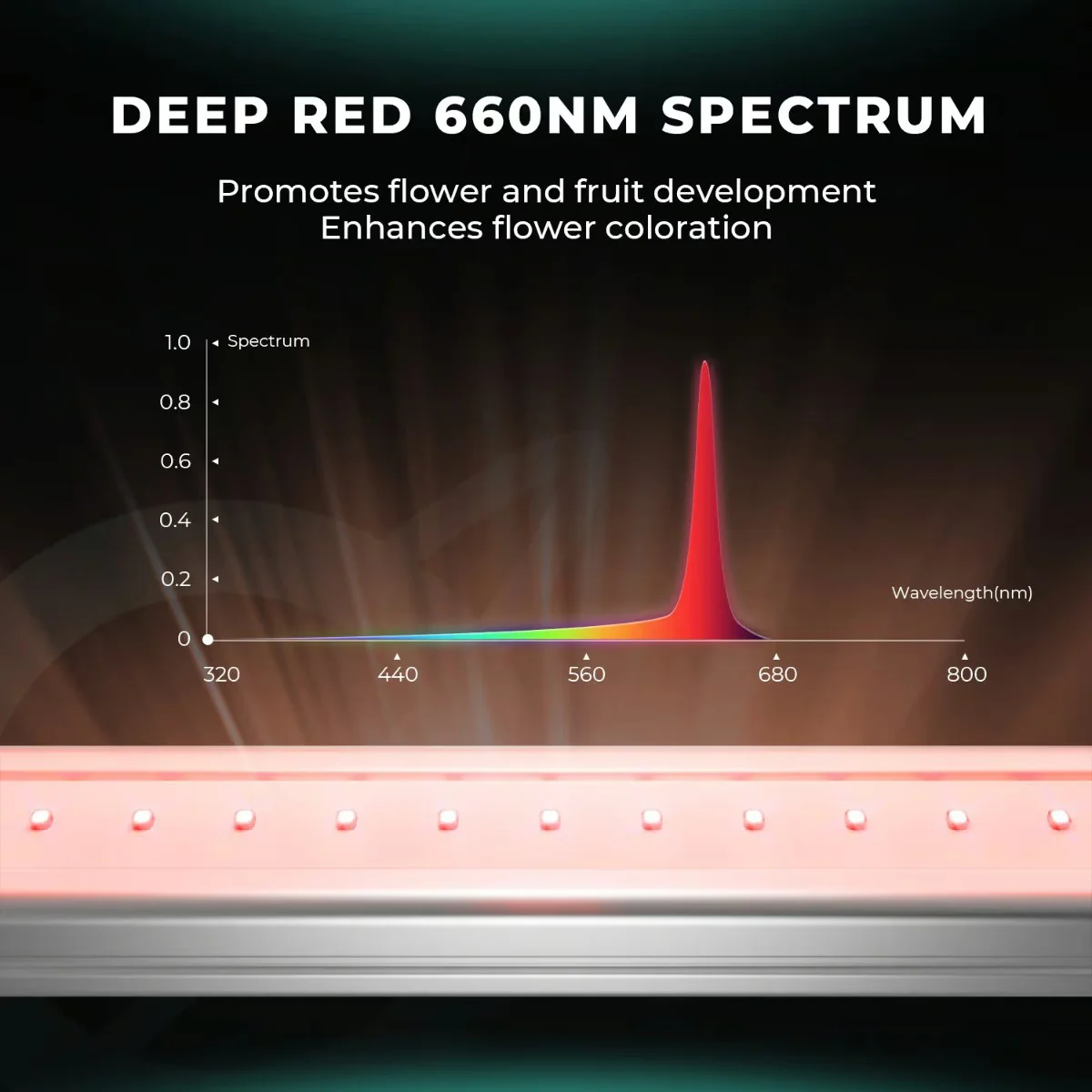 Mars Hydro ADlite RB55 (Deep Red55 + Blue55)
