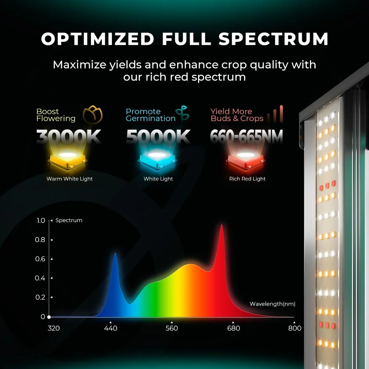 FC4000 Evo Bitki Yetiştirme LED Lambası