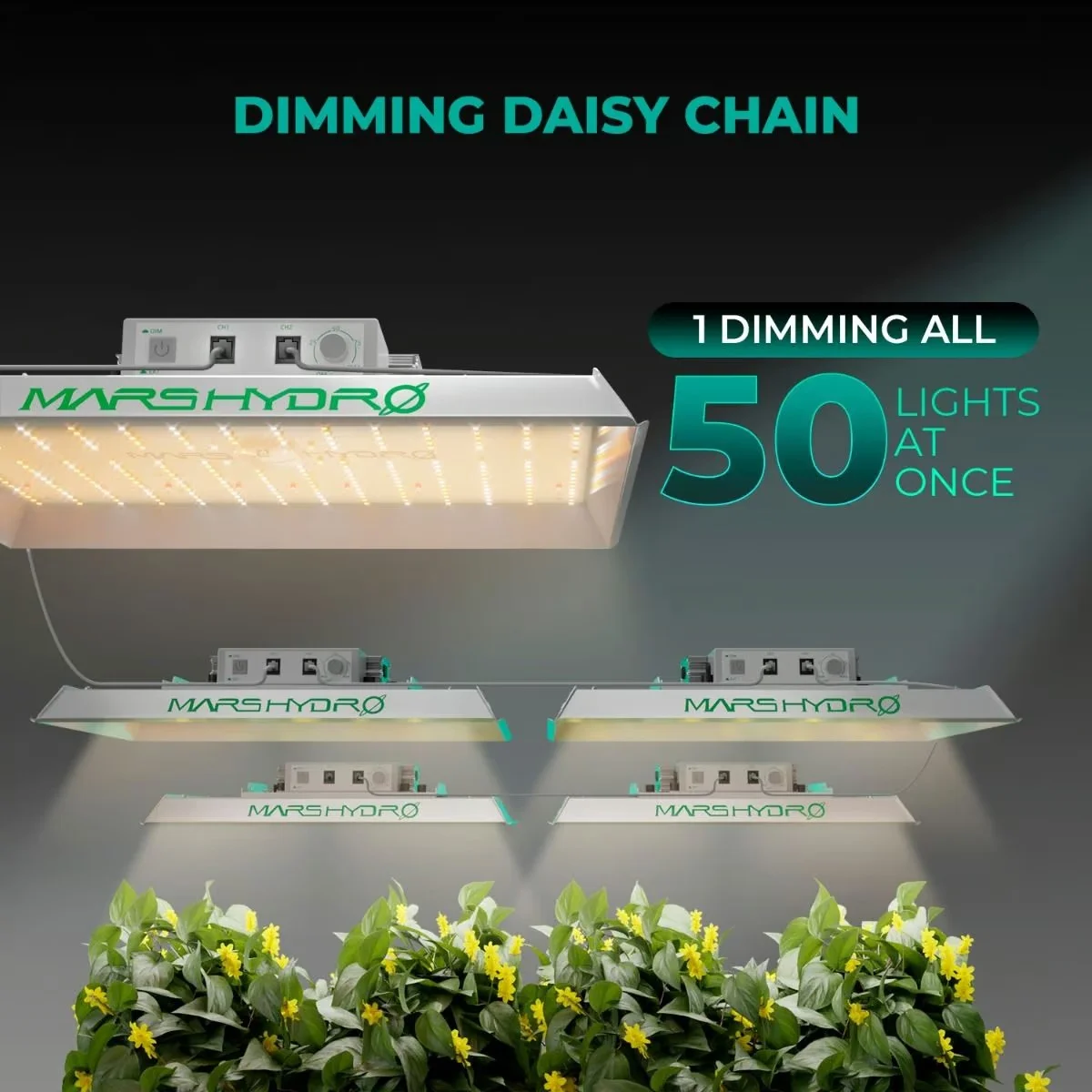 Mars Hydro TS1000 Daisy Chain bağlantı ve dimmer kontrolü