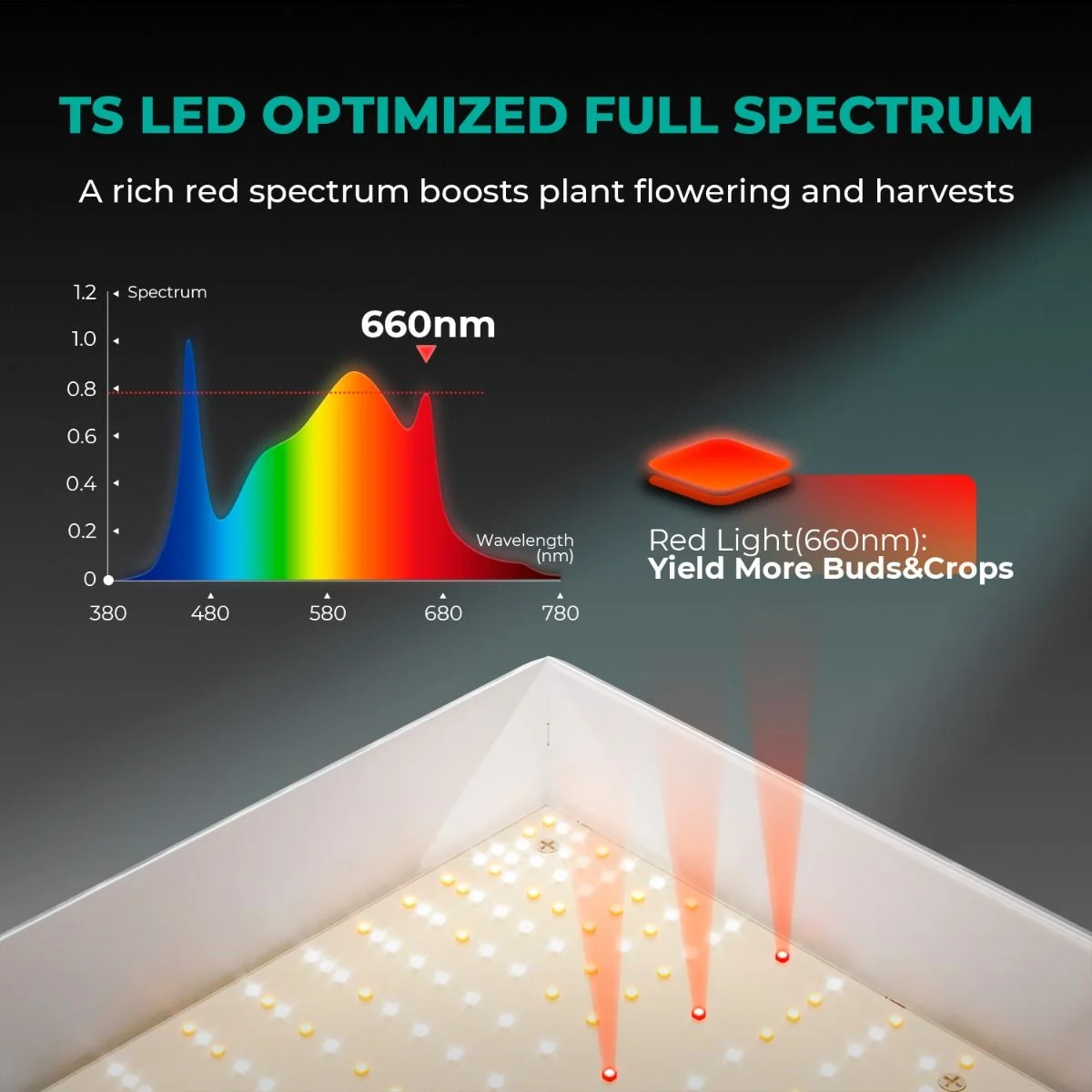 TS3000 Bitki Yetiştirme LED Lambası 