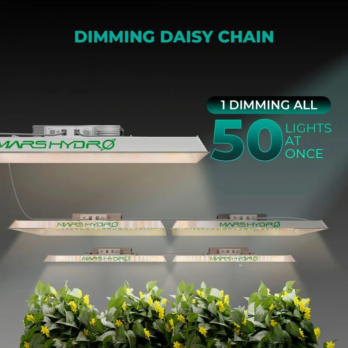 TSW2000 Bitki Yetiştirme LED Lambası