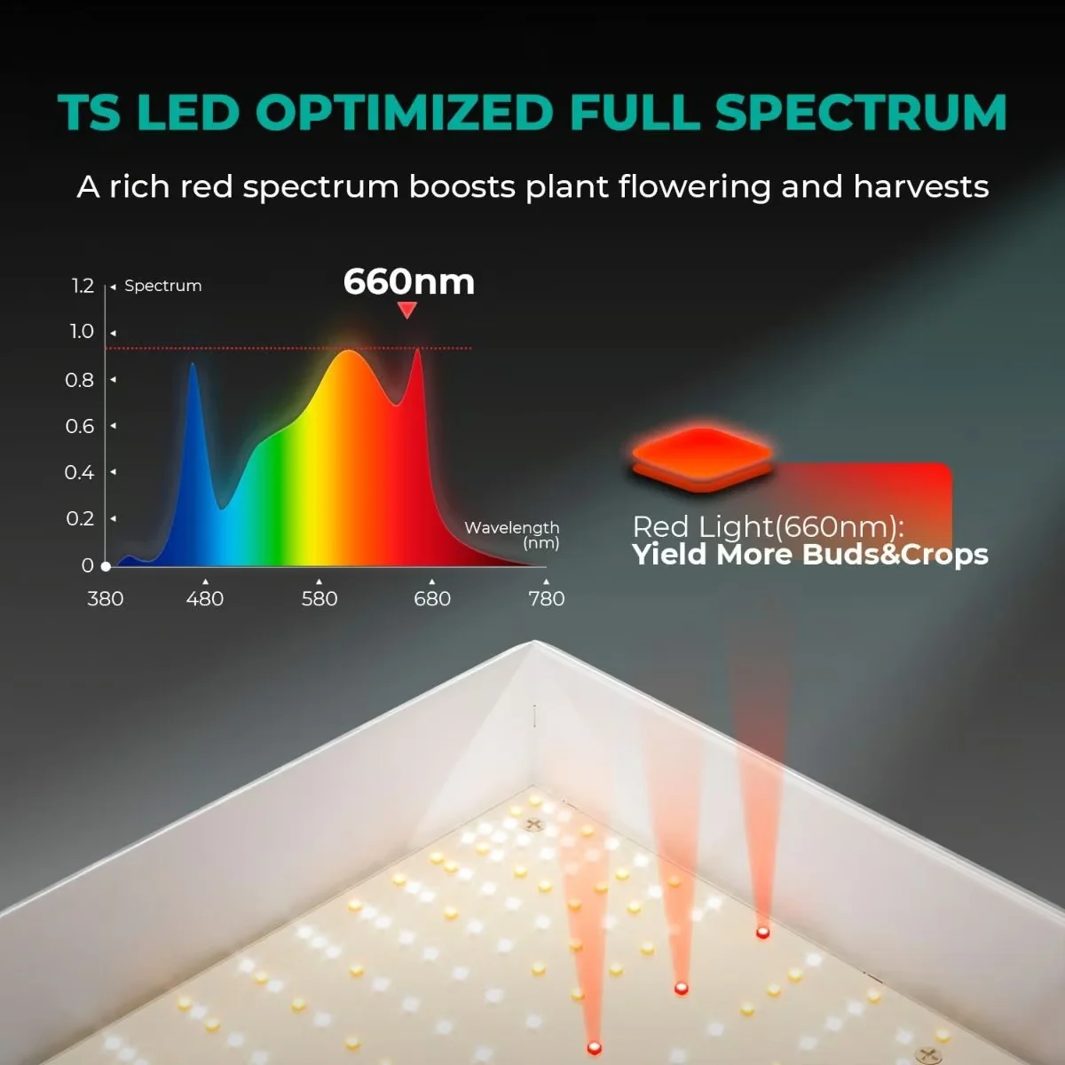 TSW2000 Bitki Yetiştirme LED Lambası