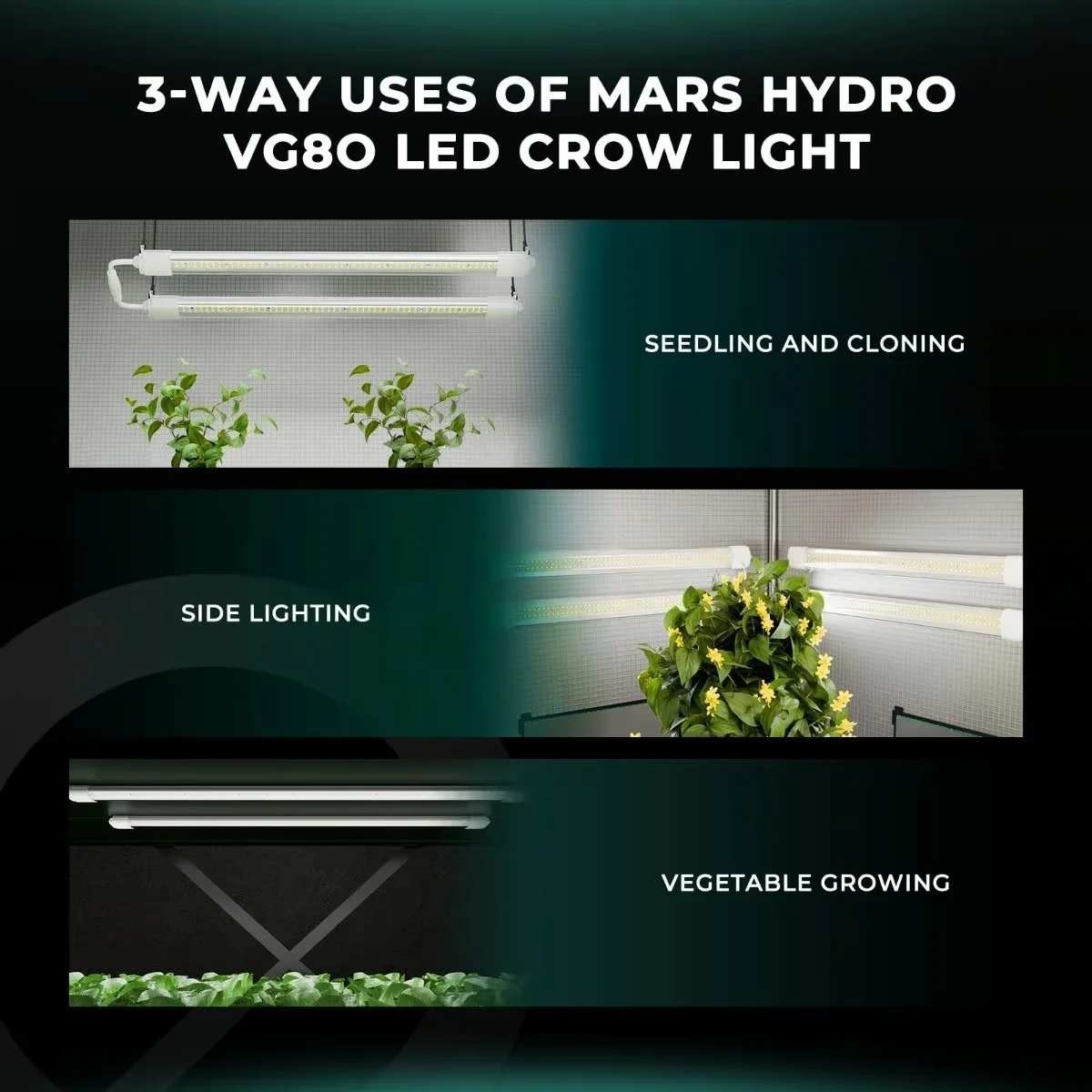 VG80 Fide, Mikro Yeşillik ve Klonlama LED Lambası