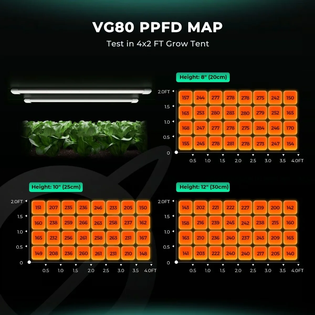 VG80 Fide, Mikro Yeşillik ve Klonlama LED Lambası