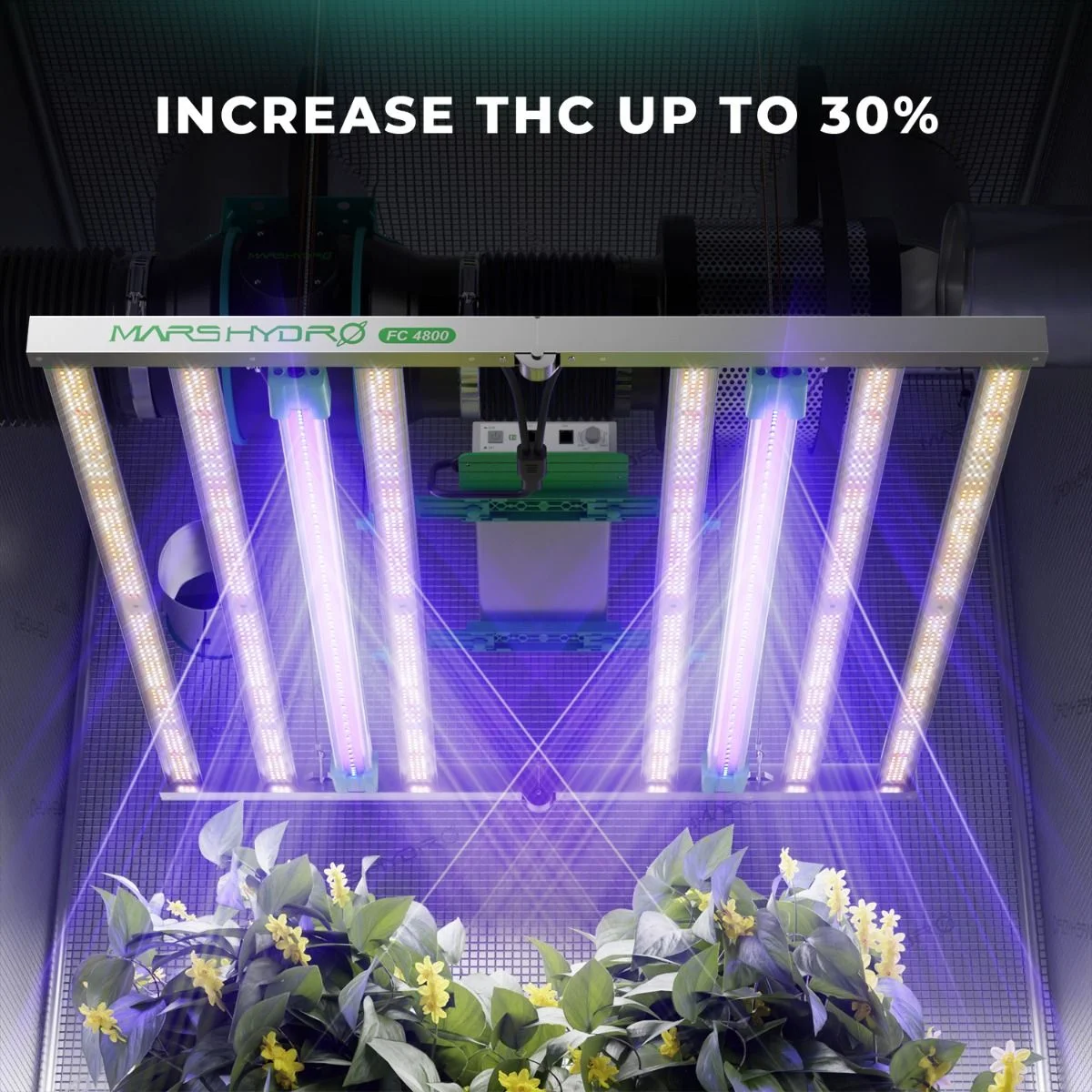 Adlite UV30 (Ultraviyole Spektrum)