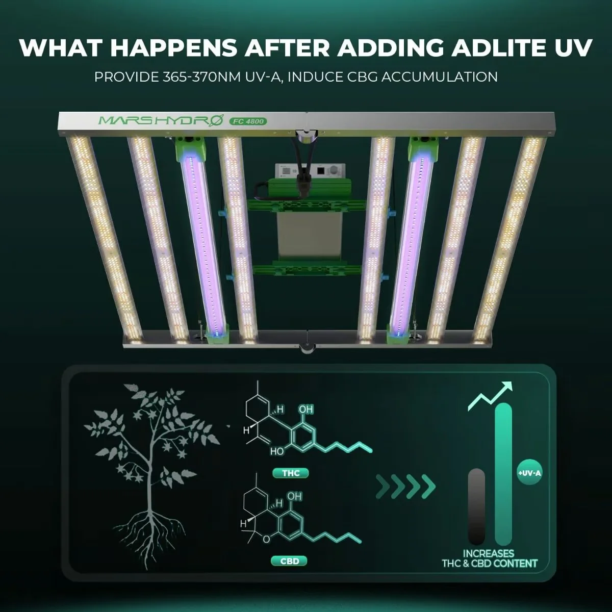 Adlite UV30 (Ultraviyole Spektrum)