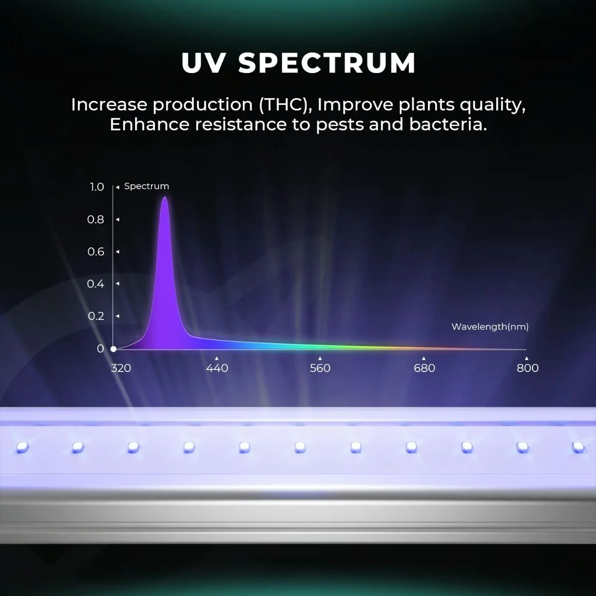 Adlite UV30 (Ultraviyole Spektrum)